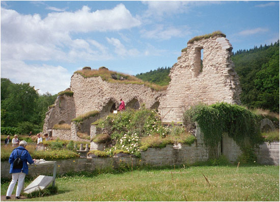 Ruinen efter Alvastra kloster, där heliga Birgittas man, Ulf Gudmarsson, finns begravd.
